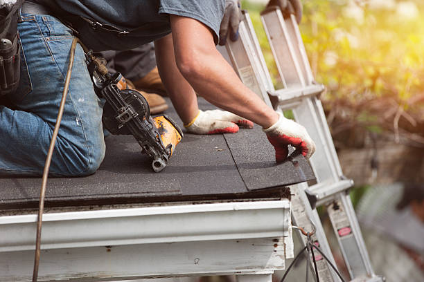 Best Metal Roofing Contractor  in South Holland, IL